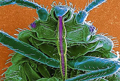 顽皮狗公布新作《星际：异端先知》部分游戏细节